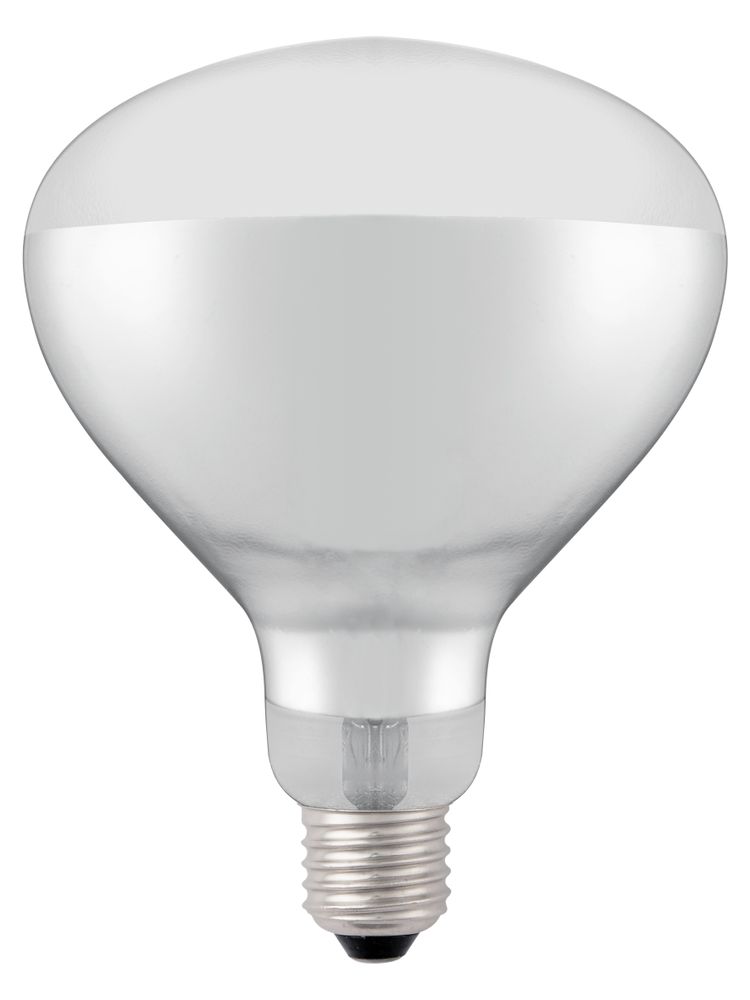 Ampoule infrarouge chauffante, HENDI, Blanc, 230V/250W, ⌀125x(H)170mm