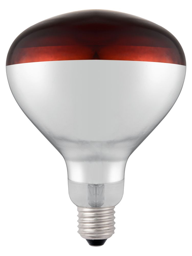 Ampoule infrarouge chauffante, HENDI, Rouge, 230V/250W, ⌀125x(H)170mm